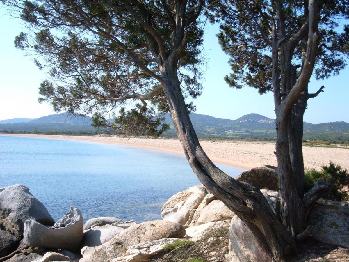 Appartamento La Residenza Poseidone Santa Teresa di Gallura Esterno foto